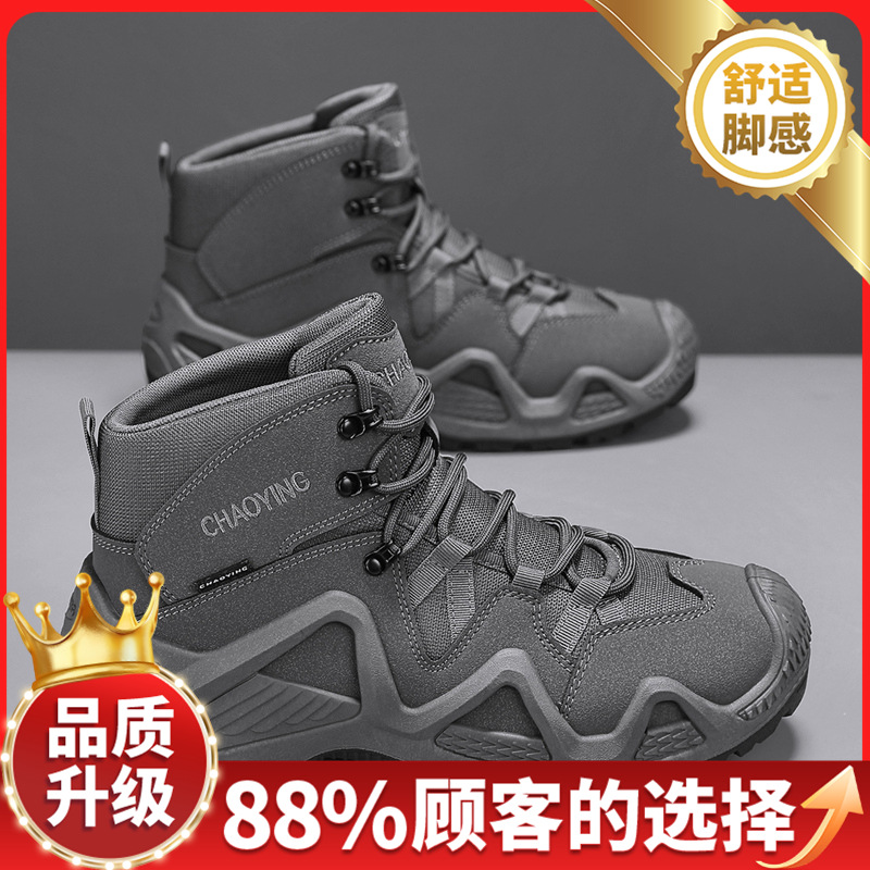 그레이 업그레이드 모델