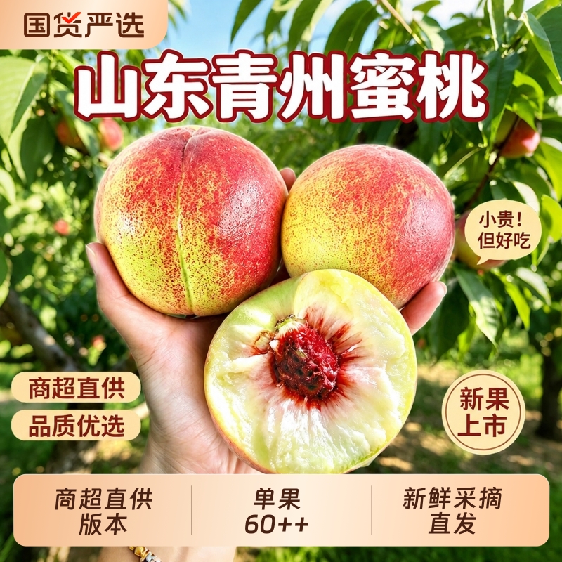 正宗青州蜜桃山东水蜜桃商超直供新鲜时令水果当季现摘离核脆桃