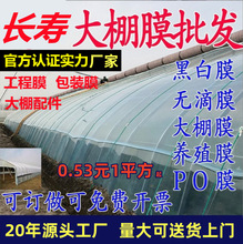 rôĤPO߲ĤҲݮܟoĤϲĤBֳڰĤ