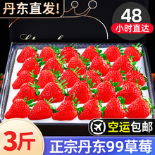 ���|99��ݮ���rˮ���t�ţ�����;žŴ��ݮ�Y�п��\�ǵ�ѩ�ײ�ݮ