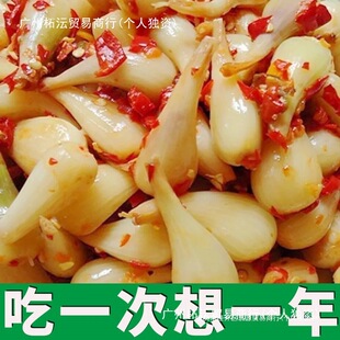 �����خa�����w�^���ֹ����������^�r���ω�����ˊ�^�_θ���