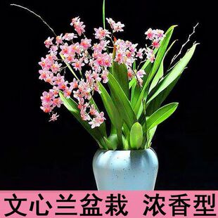 ���ܴ�ȫ �����m�� ˮ�B �����m ���������������҃��׻���B����