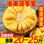 海南新鲜肉干红肉水果