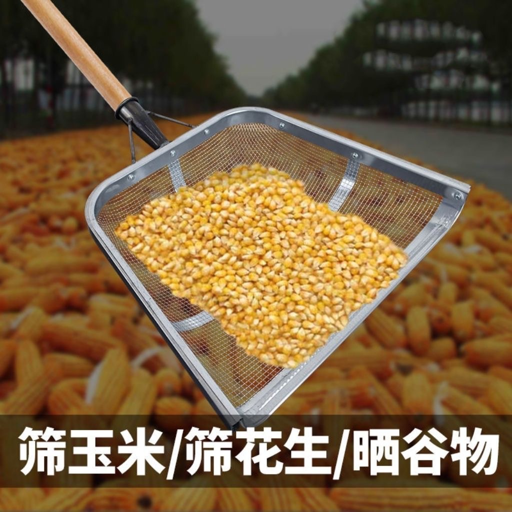 ad2b30698beda47065a80a6baf9f5c