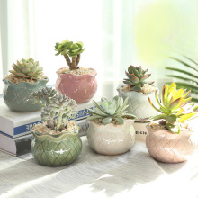 ⻨մɴ̖͸ℓֲ҃Сlڏʽ