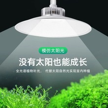 ֲledɫܴVòݮ߲̫҃ꖹL