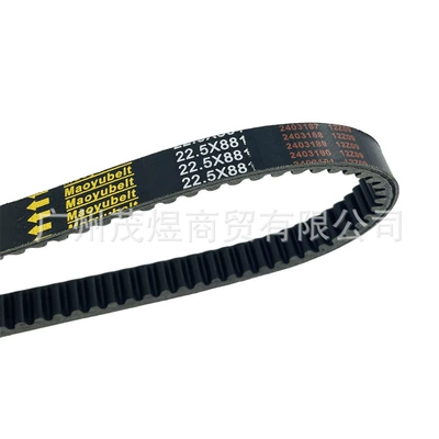 250 2000-2004 Belt, Belt