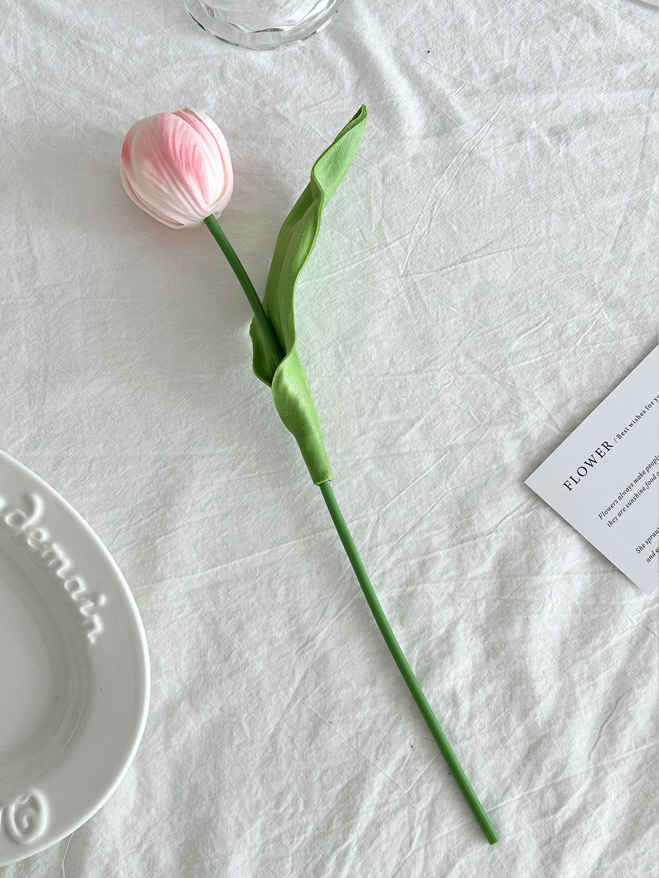 핑크 싱글 튤립