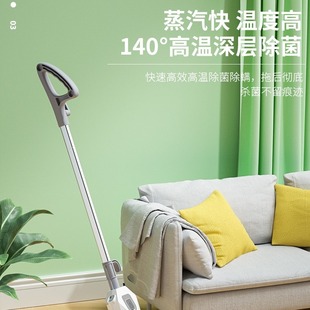 Cross-Border Household High-Temperature Sterilization Steam Mop Hand-Push Water Spray Cleaning Steam Mop Steam Mop