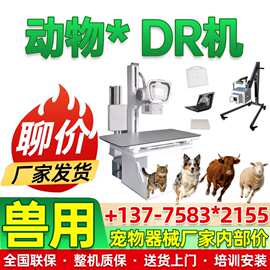 便携DR生产厂家 移动DR宠物DR可兽用平板探测器有线无线