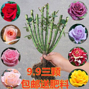 õ�廨�����Ϙ��¼������ľ�������҃����ļ��_�ش󻨝����ϸ�