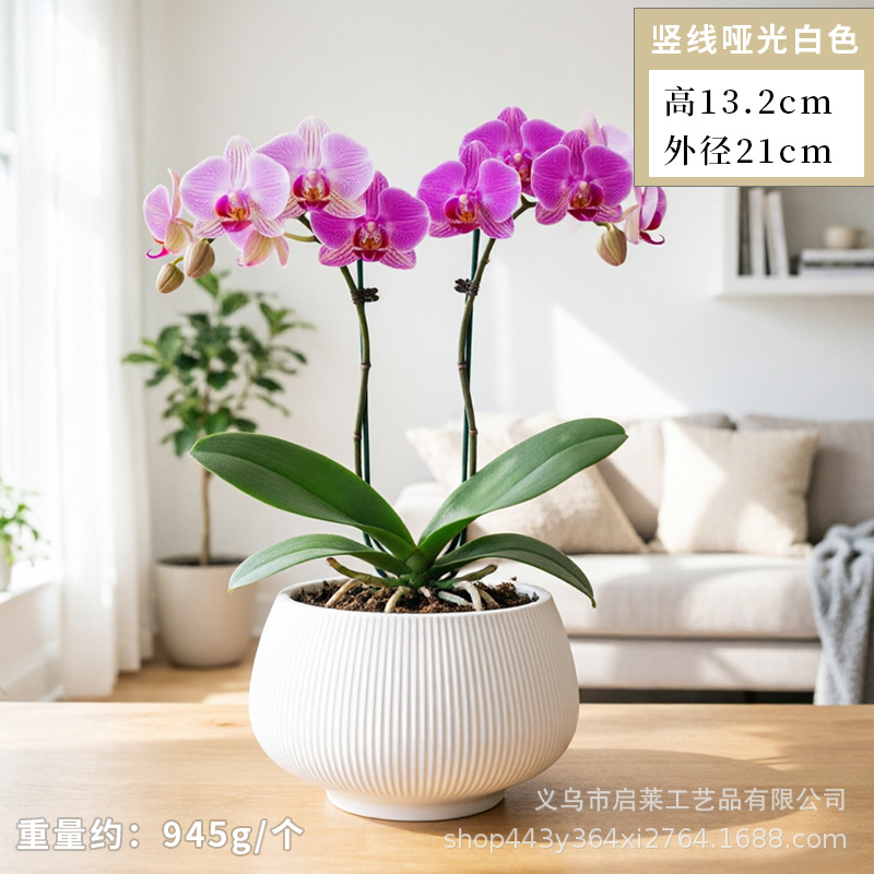 Cerámica orquídea mariposa maceta especial ins crema viento alto sentido decoración del hogar verde cerámica maceta grande image 24