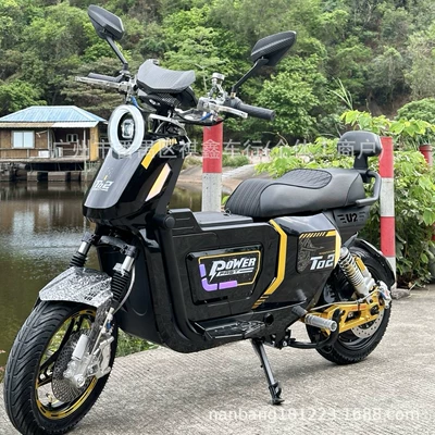 Elektrikli motosikletlər Electric Bicycle Manufacturer Two-Wheeled