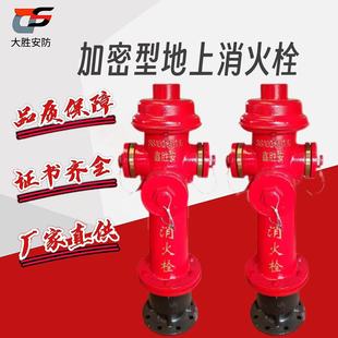 Encrypted Outdoor Ground Fire Hydrant Ss100/65-1.6 Fire Hydrant Ground Hydrant Outdoor Fire Hydrant Fire Hydrant