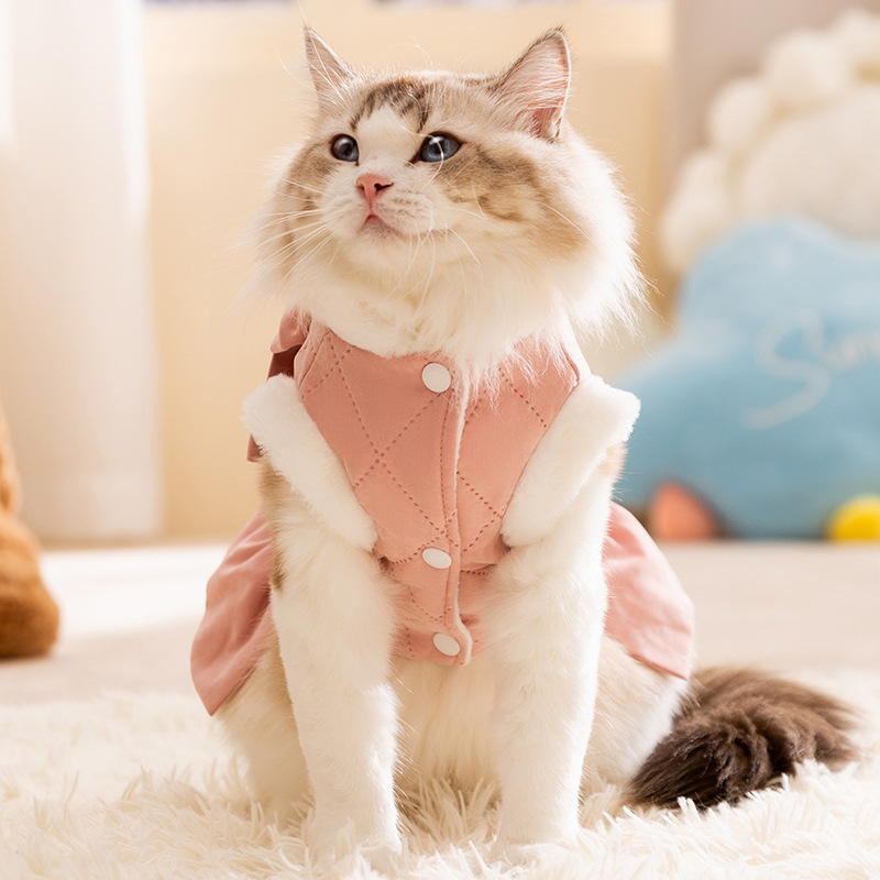 고양이 가을, 겨울 공주 스타일 큰 활 드레스 개 스커트 테디 코튼 코트 애완 동물 고양이 옷 겨울