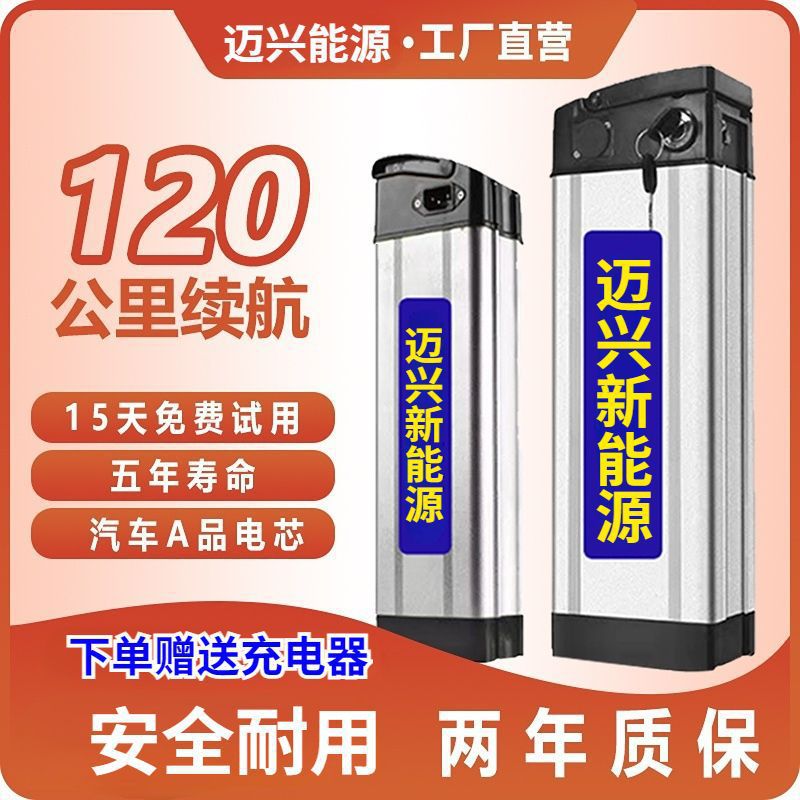 48v10AH~25安锂电池银鱼,海霸款大容量送充电器代驾电动车电池