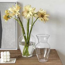 ins 风现代简约装饰玻璃花瓶透明摆件鲜花水培插花器客厅餐桌花瓶