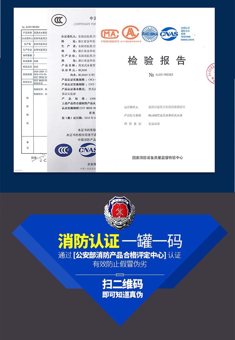 Car Fire Extinguisher Water-Based Gift Emergency Supplies Mini 13B Car Fire Extinguisher 600ml Car Fire Extinguisher