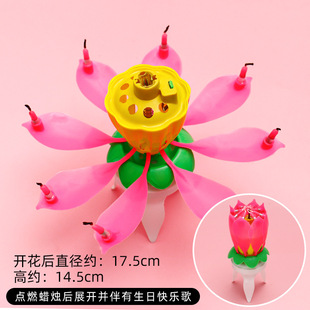 ����ɏ�����յ���Ϟ�T��ͯ�����p�Ӻɻ��_�������D�������莧����