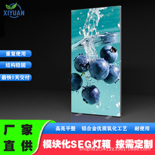 ģ�K��LED�p����� ���Ƅӿ������� �o߅���p��l�����V���ƶ�