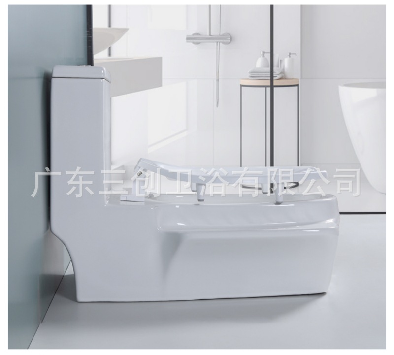 蹲坐两用马桶9001S-详情页 (30).jpg