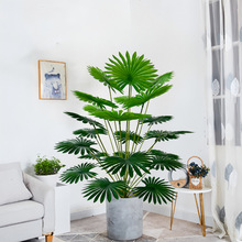 �羳���W�L����Gֲ�ؙ����ȿ��~�A���ѿ��Ҿ���ؾGɫֲ������