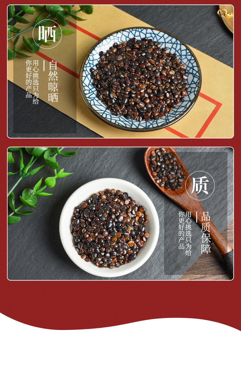 Zhi Ju Zi (Hovenia dulcis) — Dried Food-Herb Fruit for Tea & Soup quality and texture