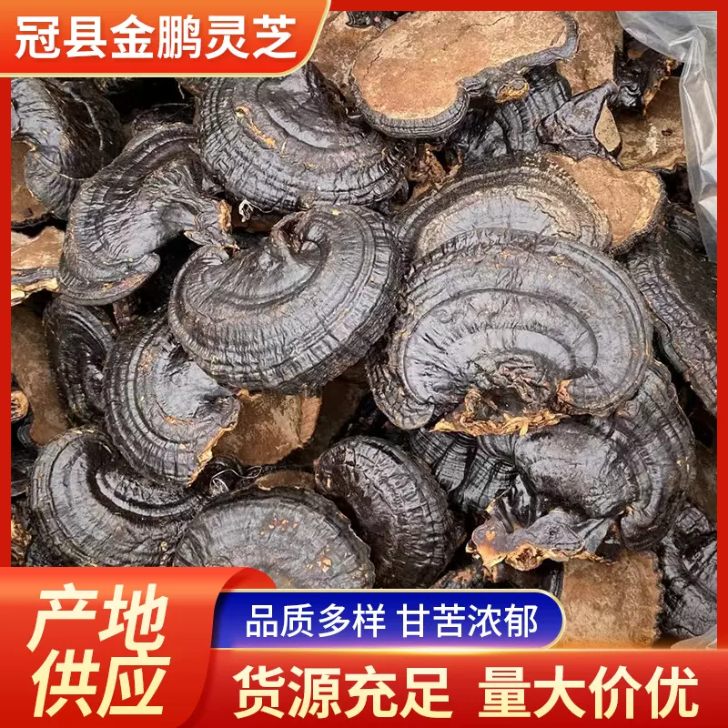 黑灵芝厂家供应批发灵芝中药材个大泡酒山东发货优质养生
