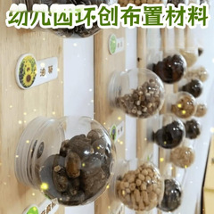 幼儿园种子博物馆主题环创装饰材料盒学校走廊环境创设布置标本墙