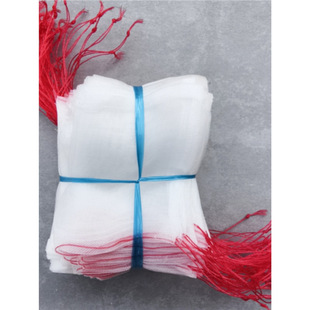 Insect-Proof Seed Soaking and Germination Rice Breeding Mesh Bag Dragon Fruit Grape Melon Tomato Vegetable Nylon Bagging Gauze Mesh Bag