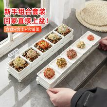 P⻨bMLl͸ظֲбPIBײ