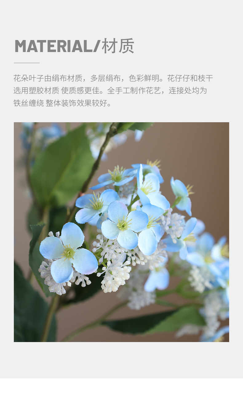 安知八仙绣球花_02.jpg