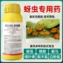 农药柑橘蚜虫