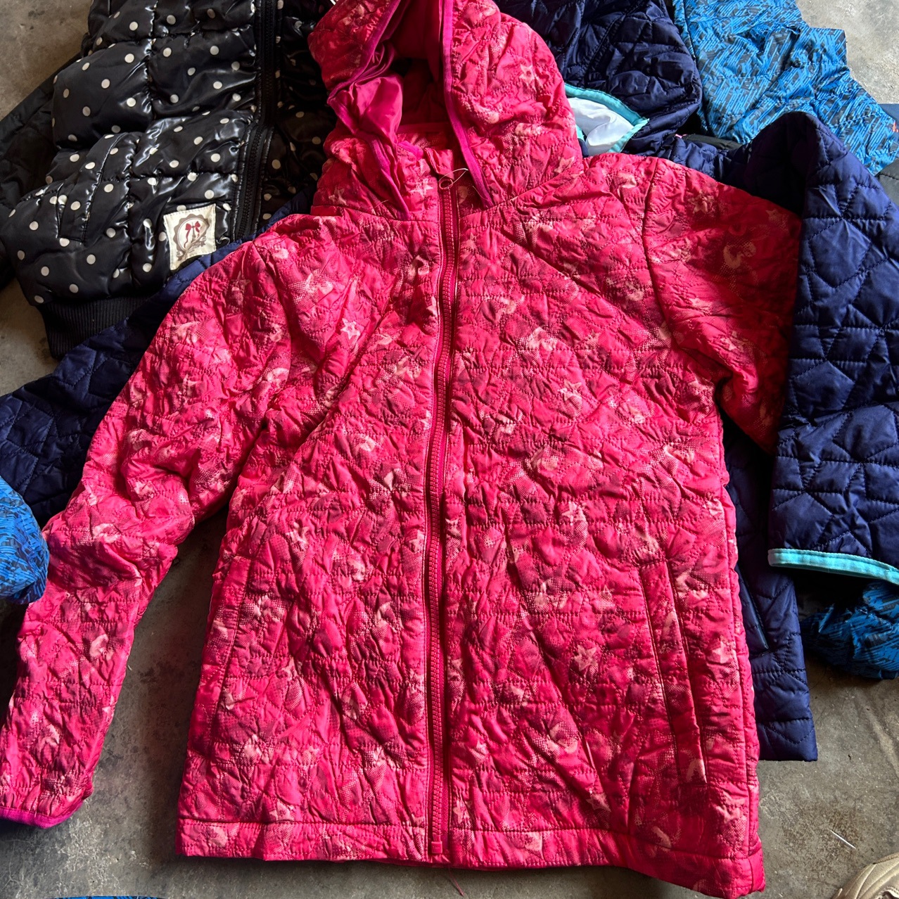 24 nuevas chaquetas de algodón de otoño y invierno, chaquetas con cremallera, chaquetas de niños pequeños y medianos, chaquetas de niños y niñas