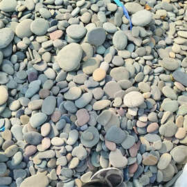 绘画石 线稿绘画石彩绘鹅卵石儿童DIY手绘石头鹅卵石片石