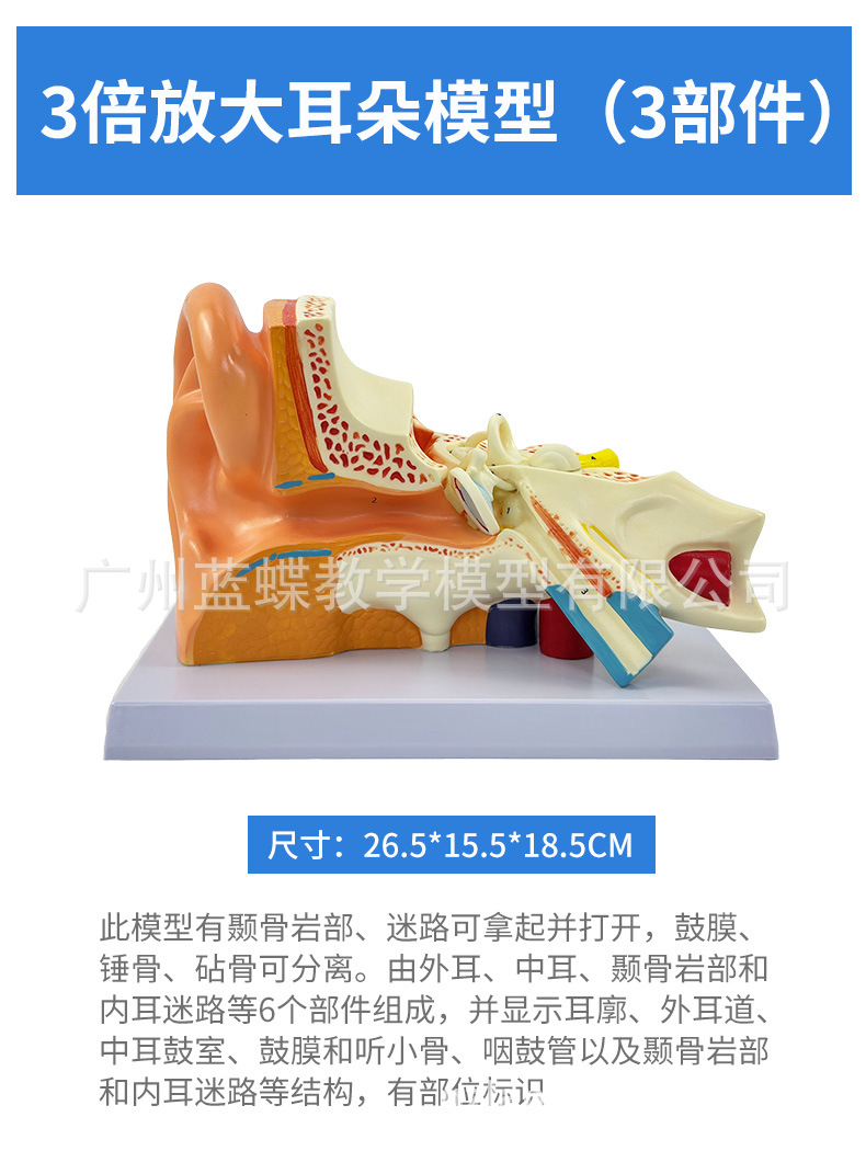 详情 (14)