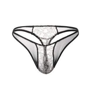 2024 new thong temptation sexy underwear transparent triangle lace sexy passion sexy thong wholesale