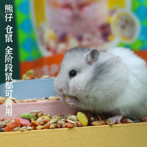 Shipping F063 hamster food 1000g grain rat food hamster baby feed squirrel golden bear food camp
