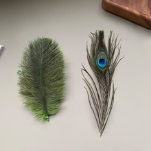 �F؛�Gɫ�r�B��ȸ��ë���m�����o����̨�ݳ���ë���bDIY�Ʒ�b�