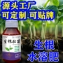 植物壮苗代发移栽果树