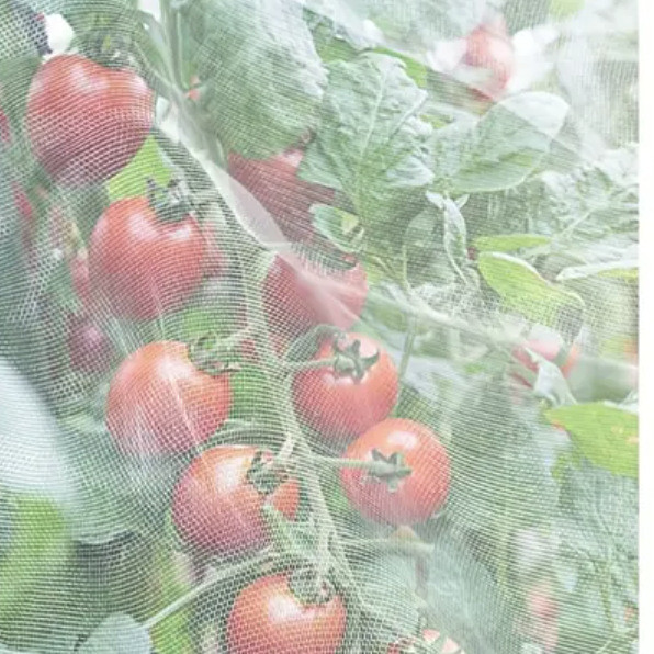 宜豪美牌耐用型40目防虫网50目防虫网大棚种植专用尼龙网幅宽3m