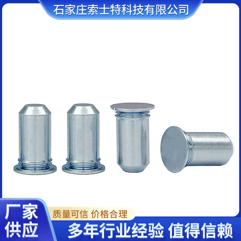 Назначение штифта Цилиндрон штифта направляющая штифта Цилиндрон штифта самофиксация штифта TP