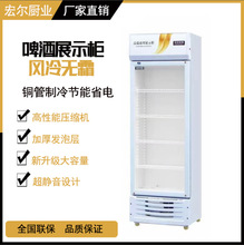 啤酒柜冷藏柜立式商用双门冰柜冰箱展示柜超市水果保鲜柜饮料柜