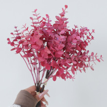 �¿����Gֲ6֦���ȼ��������Wʽ�Ҿӑ����b�������X�~�Pβ��