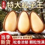 东北袋装开口大颗粒炒货