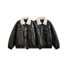 b ʽ2025¿ëIPUƤ޷͹řC܇