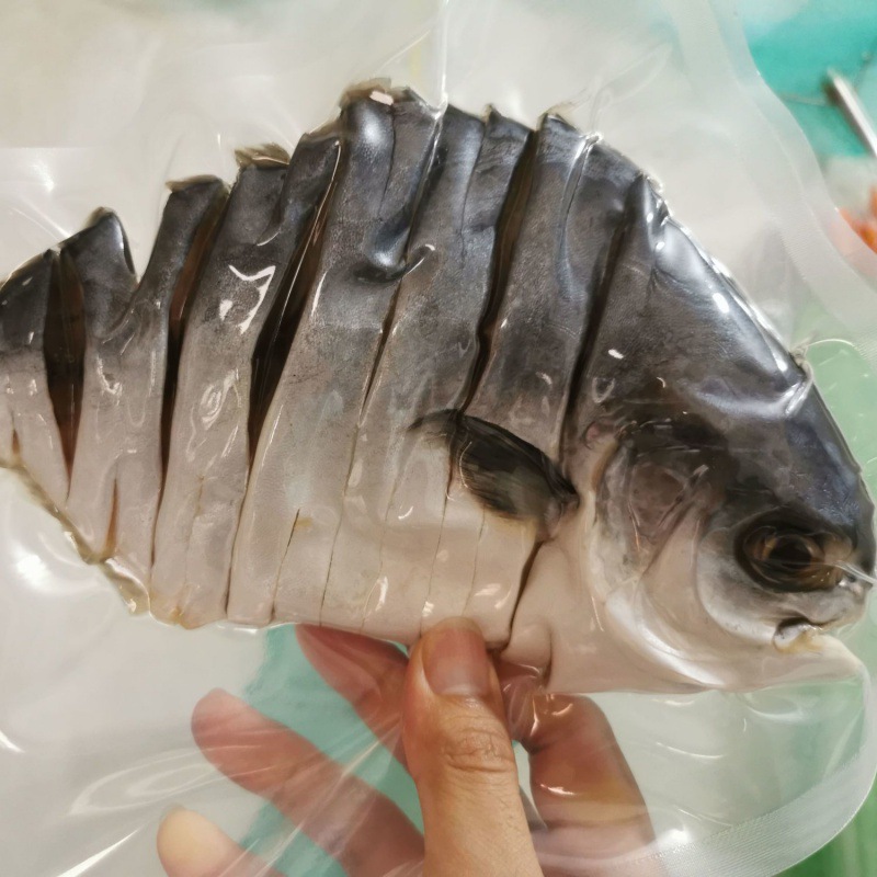 특대 건어물 5마리 [1장 0.4-0.45kg ]