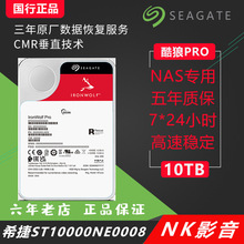 国行希/捷ST10000NT001酷狼pro 10T 网络存储垂直NAS硬盘10TB