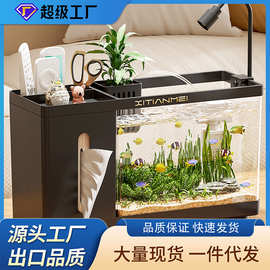 家用桌面创意鱼缸纸巾盒客厅生态斗鱼缸办公桌高透小型水培饲养缸