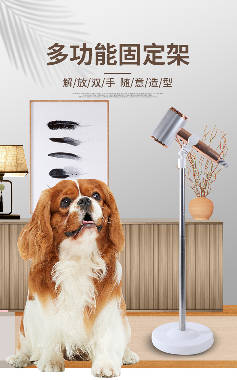 详情_01